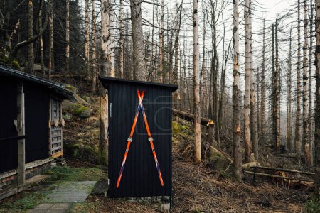 Téléchargez les photos : Grange en bois dans la forêt de montagne. concept de voyage - en image libre de droit
