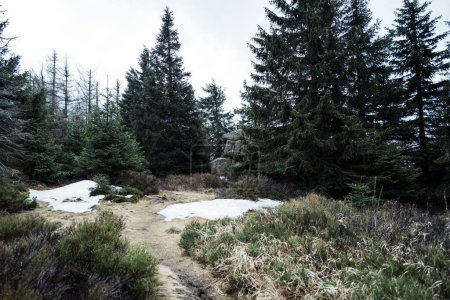 Téléchargez les photos : Beau paysage hivernal dans les montagnes. nature arrière-plan - en image libre de droit