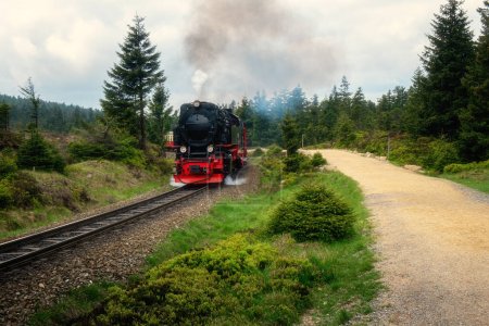 Téléchargez les photos : Locomotive à vapeur avec fumée se déplaçant dans la forêt - en image libre de droit