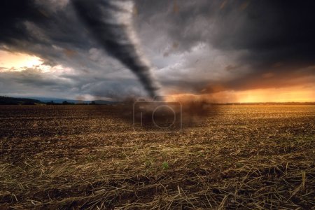 Photo for A large storm clouds with tornado.  Nature background - Royalty Free Image