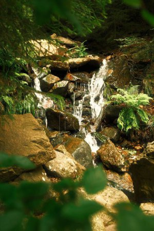 Téléchargez les photos : Belle cascade dans la forêt, fond de nature - en image libre de droit