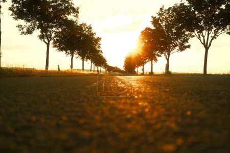 Téléchargez les photos : Route asphaltée vide au coucher du soleil en zone rurale - en image libre de droit