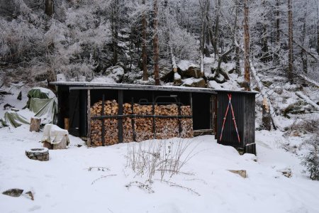Téléchargez les photos : Forêt d'hiver avec cabane pleine de grumes - en image libre de droit