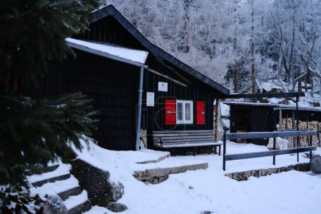Foto de Pequeña cabaña de madera en el bosque de invierno nevado - Imagen libre de derechos