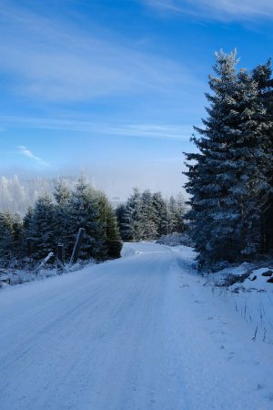 Téléchargez les photos : Un beau paysage hivernal d'une route de campagne - en image libre de droit
