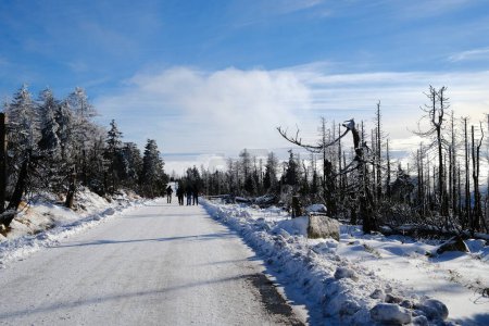 Téléchargez les photos : Personnes marchant sur la route enneigée d'hiver - en image libre de droit