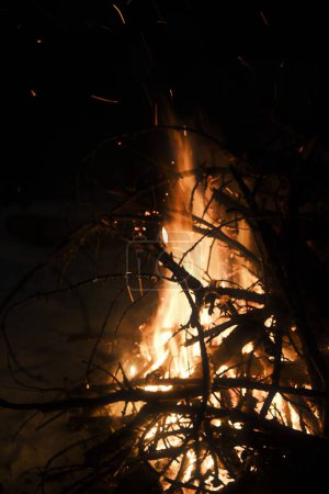 Téléchargez les photos : Brûler des branches dans un feu de camp dans la forêt - en image libre de droit