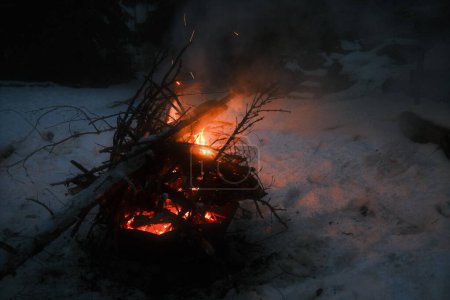 Téléchargez les photos : Brûler des branches dans un feu de camp dans la forêt - en image libre de droit
