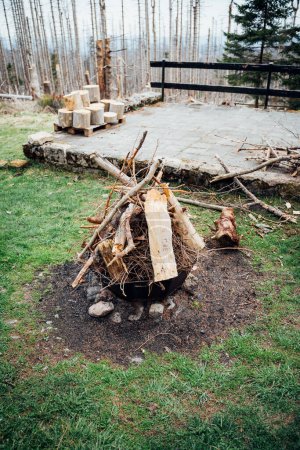Téléchargez les photos : Une grande pile de bois de chauffage préparé pour le feu dans la forêt - en image libre de droit
