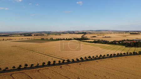 Téléchargez les photos : Vue aérienne du champ de blé à la campagne - en image libre de droit