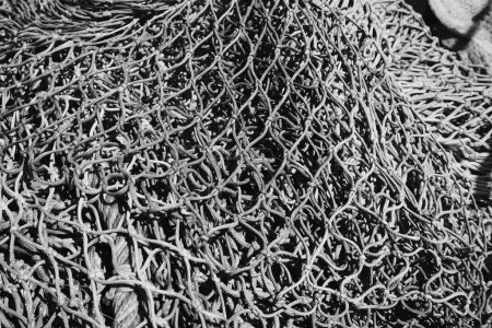 Foto de Cuerdas blancas y negras. redes de pesca, vista de cerca - Imagen libre de derechos