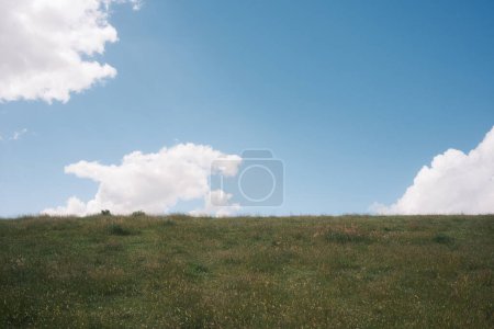 Téléchargez les photos : Champ d'herbe verte et ciel bleu avec nuages. - en image libre de droit