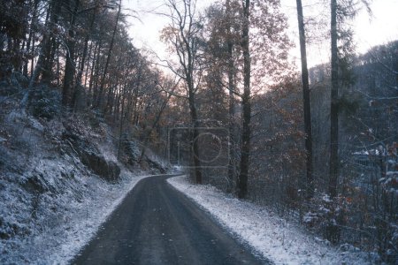Téléchargez les photos : Beau paysage hivernal avec des arbres en forêt - en image libre de droit