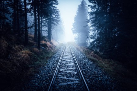 Téléchargez les photos : Un chemin de fer sombre traversant une forêt, beau fond - en image libre de droit