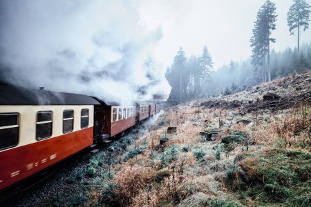 Téléchargez les photos : Vieux train à vapeur circulant sur le chemin de fer - en image libre de droit