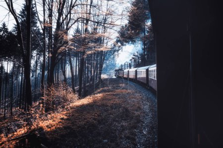 Téléchargez les photos : Locomotive à vapeur à travers les bois - en image libre de droit