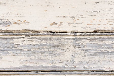 Photo for Texture of old wood door - Royalty Free Image