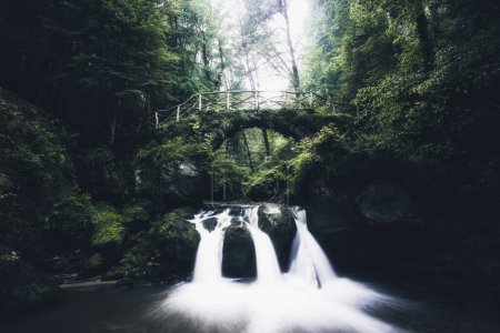 Téléchargez les photos : Chute d'eau dans une belle forêt verte - en image libre de droit