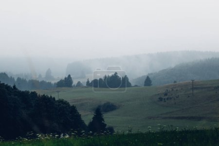 Téléchargez les photos : Belle matinée brumeuse en montagne - en image libre de droit