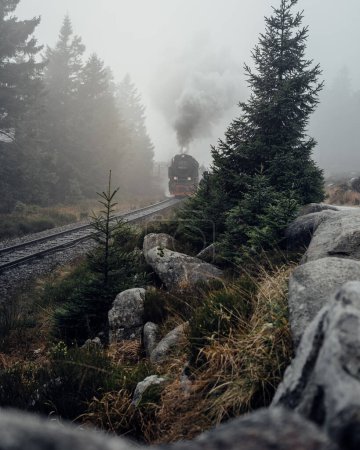 Téléchargez les photos : Vieux train roulant sur voie ferrée - en image libre de droit