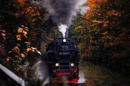 Foto de Tren viejo en bosque de otoño - Imagen libre de derechos