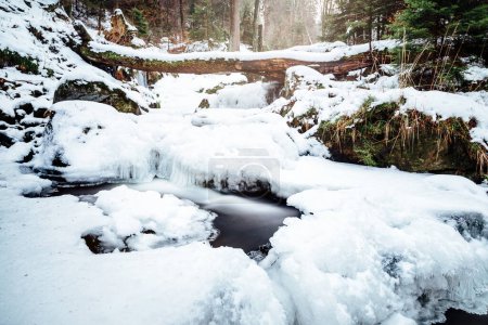 Téléchargez les photos : Cascade gelée dans la forêt d'hiver - en image libre de droit