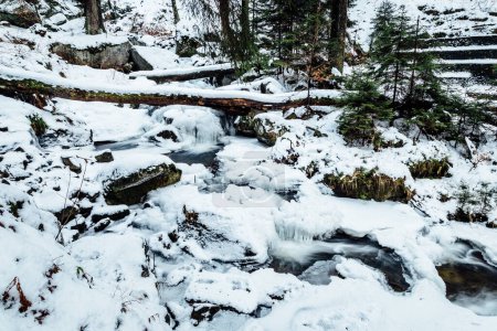 Foto de Cascada congelada en el bosque de invierno - Imagen libre de derechos