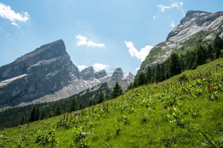 Téléchargez les photos : Beau paysage de montagne en été - en image libre de droit