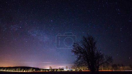 Téléchargez les photos : Ciel nocturne avec étoiles et voie lactée au-dessus des arbres et de la forêt - en image libre de droit