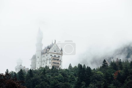 Photo for Castle on hill in fog - Royalty Free Image