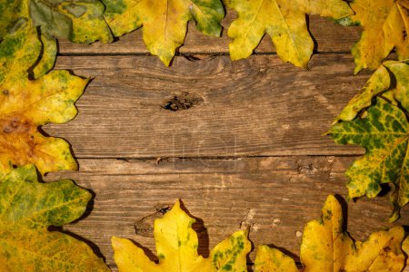 Foto de Hojas de otoño sobre un fondo de madera - Imagen libre de derechos