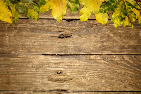Foto de Hojas de otoño sobre fondo de madera viejo - Imagen libre de derechos