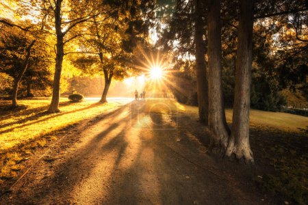 Foto de La gente camina en el parque de otoño con un hermoso sol dorado - Imagen libre de derechos