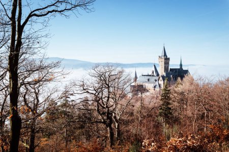 Photo for Castle in the forest, castle in the background - Royalty Free Image