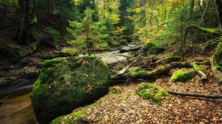 Foto de Paisaje otoñal con un río, un bosque y una pequeña cascada. - Imagen libre de derechos