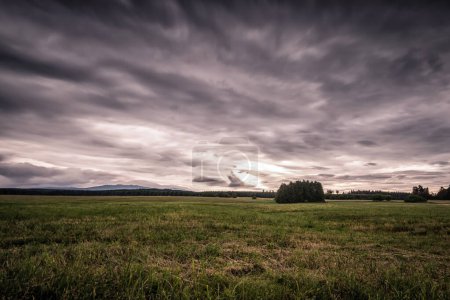 Téléchargez les photos : Nuages orageux sur prairie verte - en image libre de droit