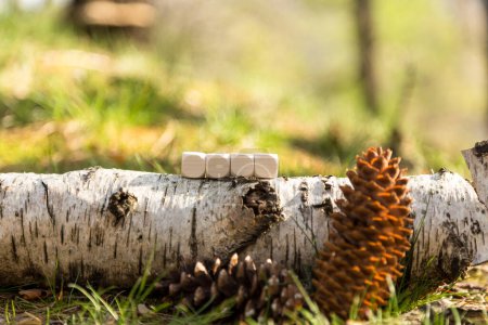 Photo for Wooden cubes on the log and white pine cones in the forest - Royalty Free Image