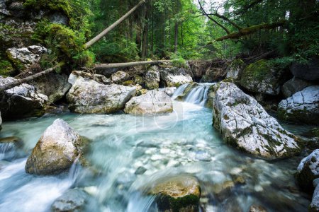 Téléchargez les photos : Belle cascade dans la forêt. - en image libre de droit