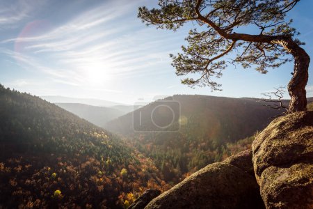 Foto de Hermoso paisaje otoñal con árboles coloridos - Imagen libre de derechos