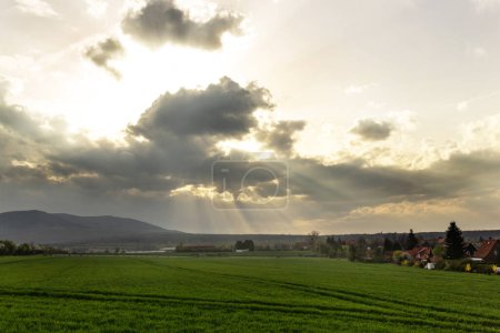 Téléchargez les photos : Beau paysage avec champ d'herbe et ciel couchant - en image libre de droit