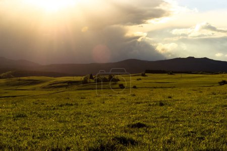 Téléchargez les photos : Beau paysage avec champ d'herbe et ciel couchant - en image libre de droit