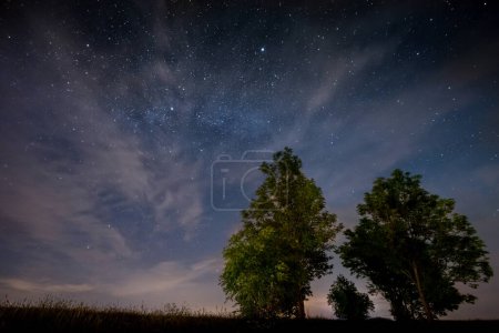 Photo for Night sky, milky way and a few trees - Royalty Free Image