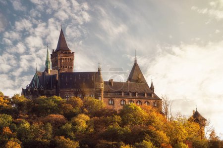 Téléchargez les photos : Architecture château gothique en Allemagne - en image libre de droit