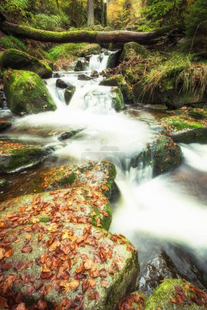 Téléchargez les photos : Paysage d'automne avec rivière de montagne, gros rochers et feuilles tombées - en image libre de droit