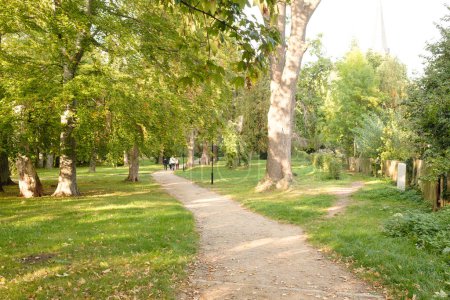 Photo for Beautiful view of path in green park - Royalty Free Image