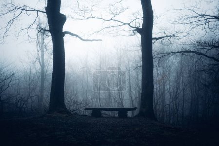 Téléchargez les photos : Silhouette de banc et d'arbres dans la forêt brumeuse - en image libre de droit