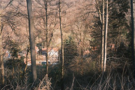 Photo for View through the trees of houses in mountain valley - Royalty Free Image
