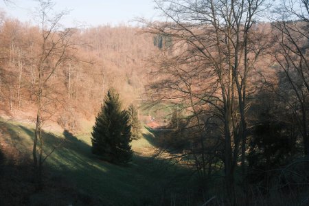 Téléchargez les photos : Belle vallée de montagne et les arbres au jour ensoleillé d'automne - en image libre de droit