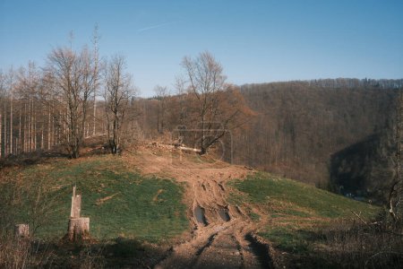 Téléchargez les photos : Vue panoramique sur un chemin de terre montant une colline avec forêt en arrière-plan - en image libre de droit