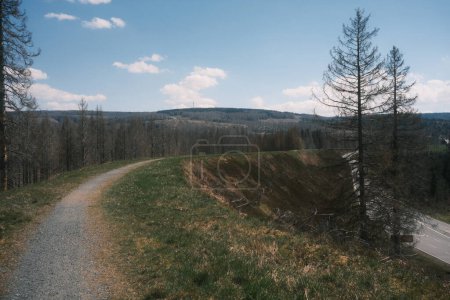 Téléchargez les photos : Chemin de terre avec forêt dans les montagnes - en image libre de droit